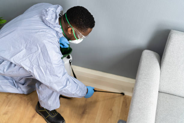 Emergency Pest Control in Ladera Ranch, CA